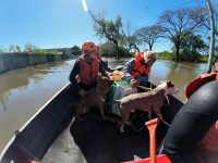 tragedia-no-rs:-bombeiros-do-acre-ajudaram-a-resgatar-20-pessoas-e-animais-em-tres-dias-de-operacao