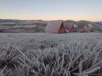 com-temperaturas-perto-de-0oc,-cidades-da-serra-do-rs-sao-cobertas-por-geada