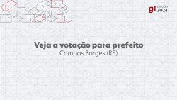 eleicoes-2024:-cleonice-p-da-paixao-toledo,-do-mdb,-e-eleita-prefeita-de-campos-borges-no-1o-turno