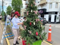 sonho-de-natal-anima-canela-ate-12-de-janeiro-de-2025